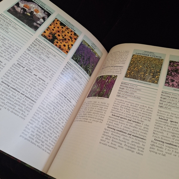 Time Life Book on Perennials - Picture 4 of 9